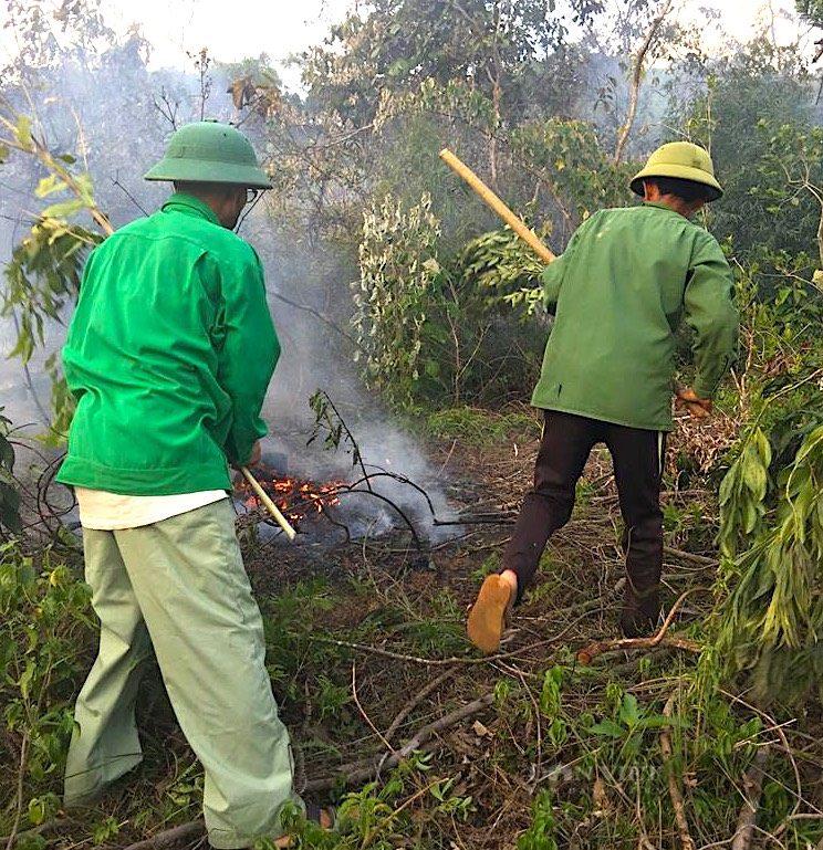 Hà Tĩnh: Cụ ông 74 tuổi bị chết cháy trong vườn keo - Ảnh 2.