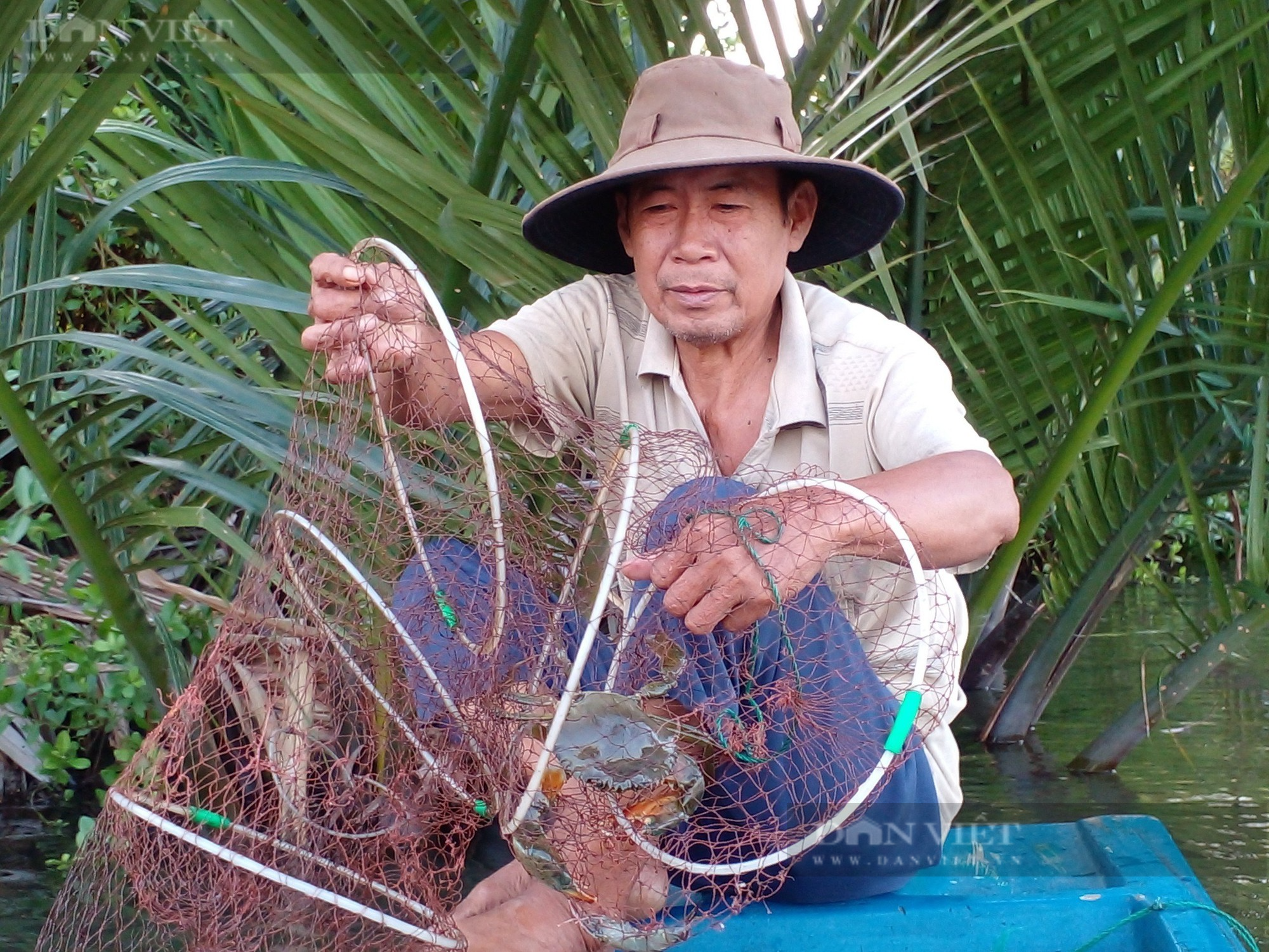 Nông dân xứ U Minh Hạ thu lãi cao từ mô hình nuôi của xen canh trong vuông tôm   - Ảnh 1.