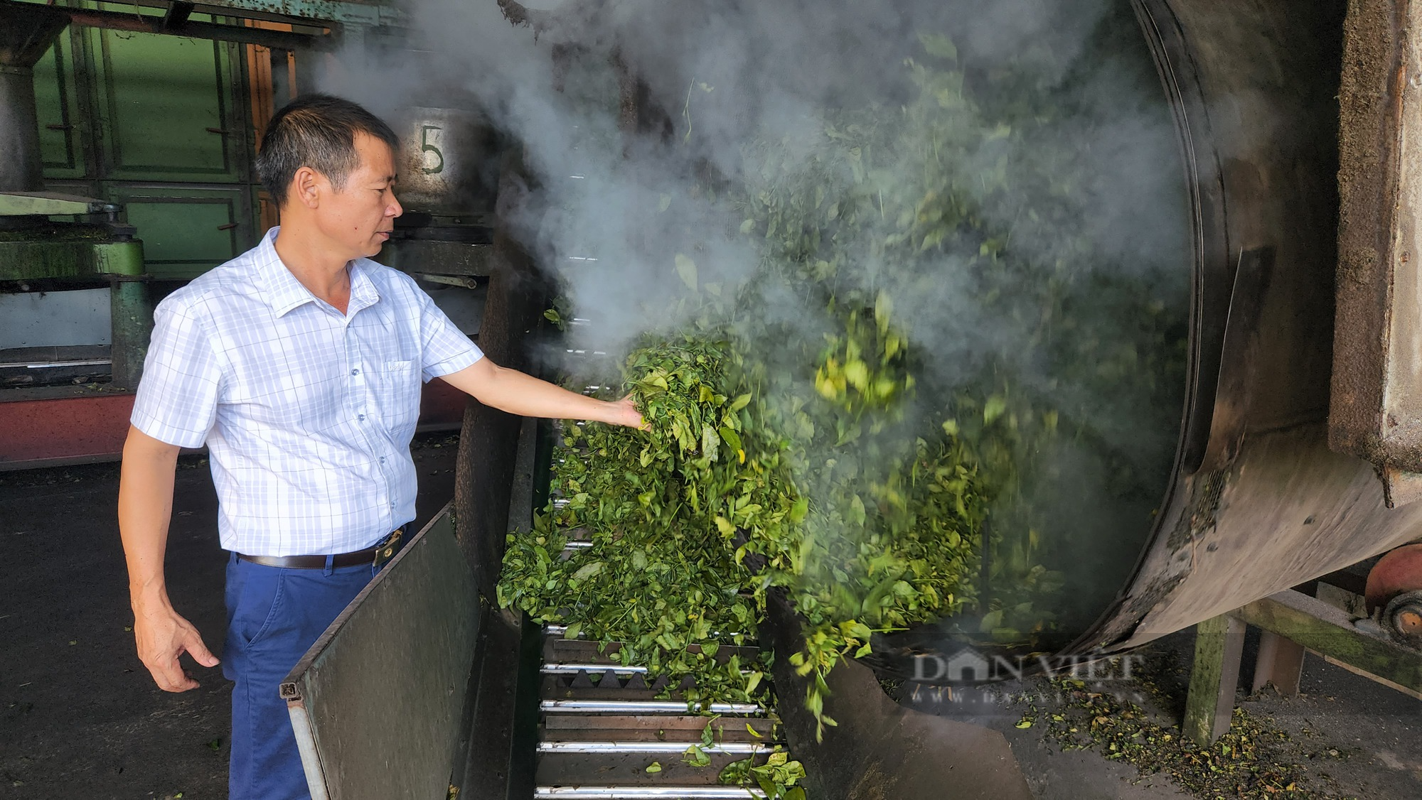 Thành tỷ phú nhờ chế biến chè khô, giám đốc hợp tác xã ở Lai Châu là Nông dân Việt Nam xuất sắc năm 2023 - Ảnh 3.