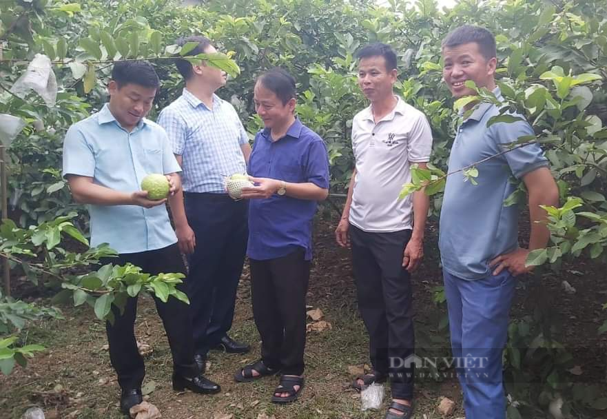 Hội Nông dân tỉnh Thái Nguyên ra mắt Câu lạc bộ “Nông dân với pháp luật” - Ảnh 3.