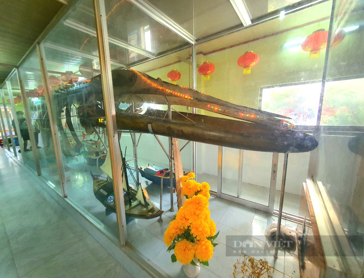 Nơi có bộ xương cá voi dài 12m và lễ hội Nghinh Ông tồn tại hơn trăm năm qua ở TP.HCM - Ảnh 6.