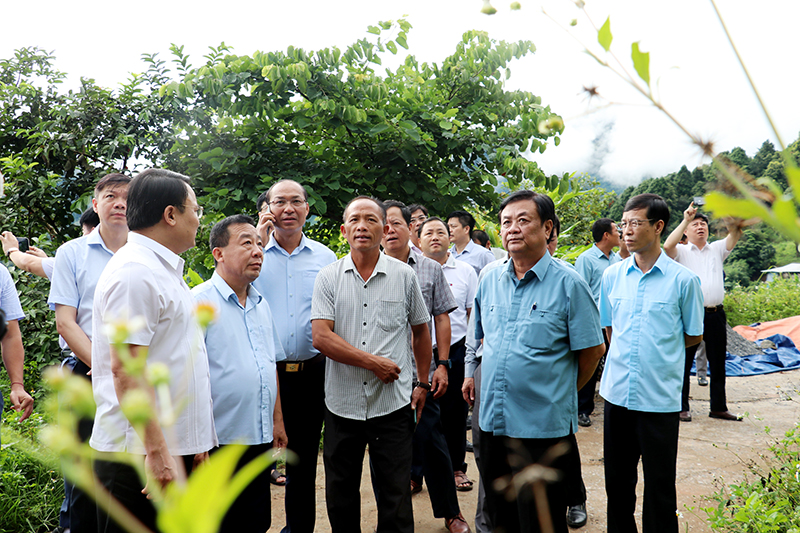 Bộ trưởng Bộ NNPTNT 'đặt hàng' Cục Lâm nghiệp về ý tưởng phát huy lợi thế nơi được coi là Sa Pa của Nghệ An - Ảnh 1.