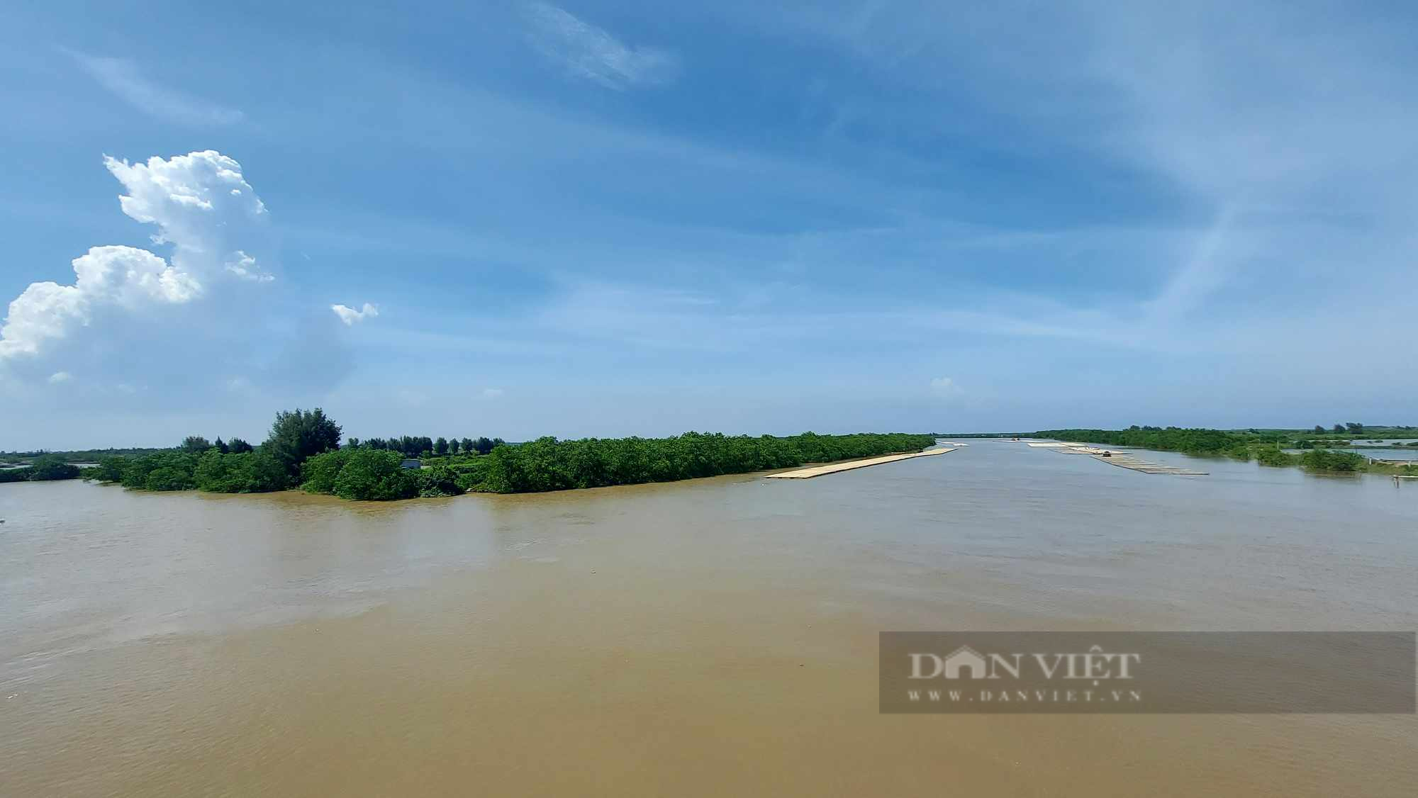 &quot;Bi hài'' lời giải thích của Giám đốc Sở NN&PTNT Thái Bình về việc hao hút hơn 11.000ha tại Khu bảo tồn Tiền Hải - Ảnh 3.