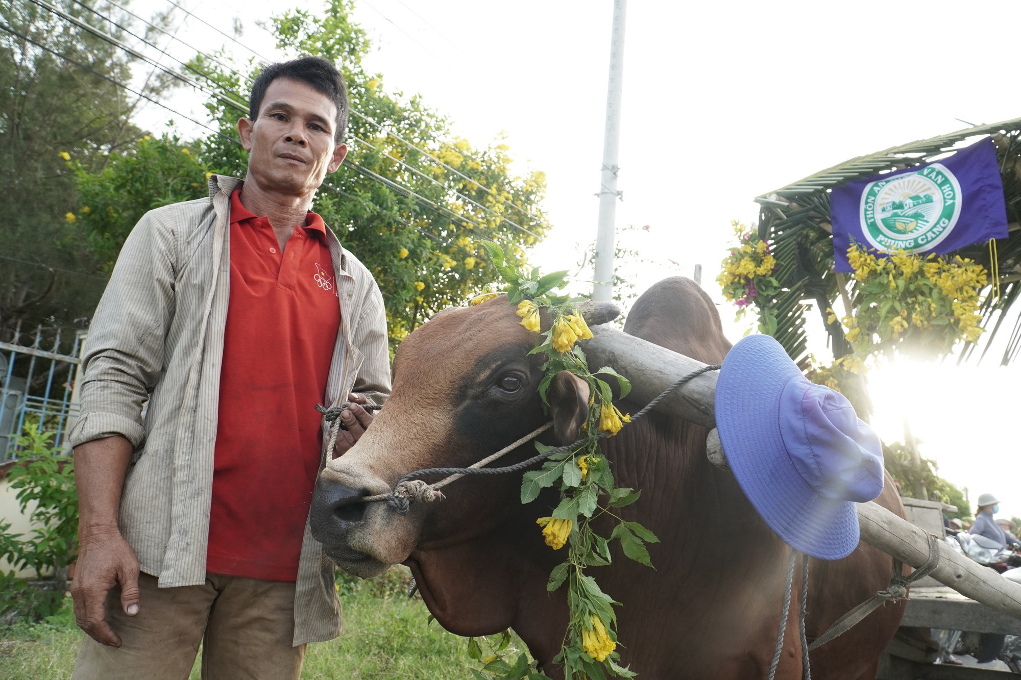 Độc đáo màn tranh tài của 3 cặp xe bò ở Khánh Hòa - Ảnh 3.