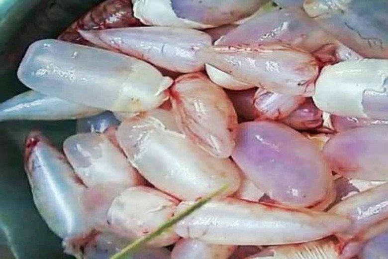 Thứ tanh ngòm của con cá toàn bị vứt đi nay bán 9 triệu đồng/kg, xào với quả này 1 đĩa đầy chả đủ ăn - Ảnh 2.