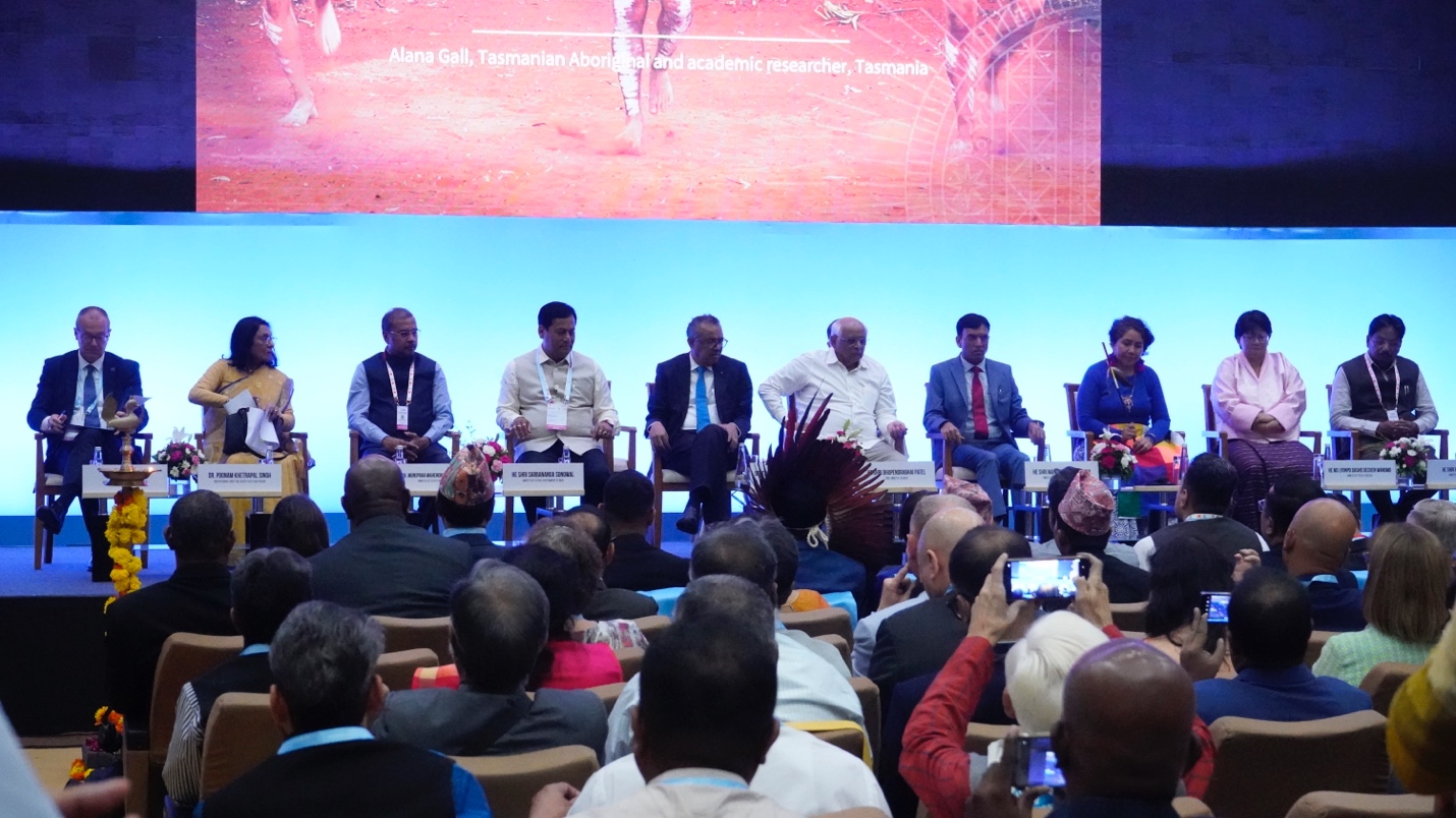 Sao Thái Dương tham gia Hội nghị thượng đỉnh toàn cầu về y học cổ truyền - Ảnh 2.