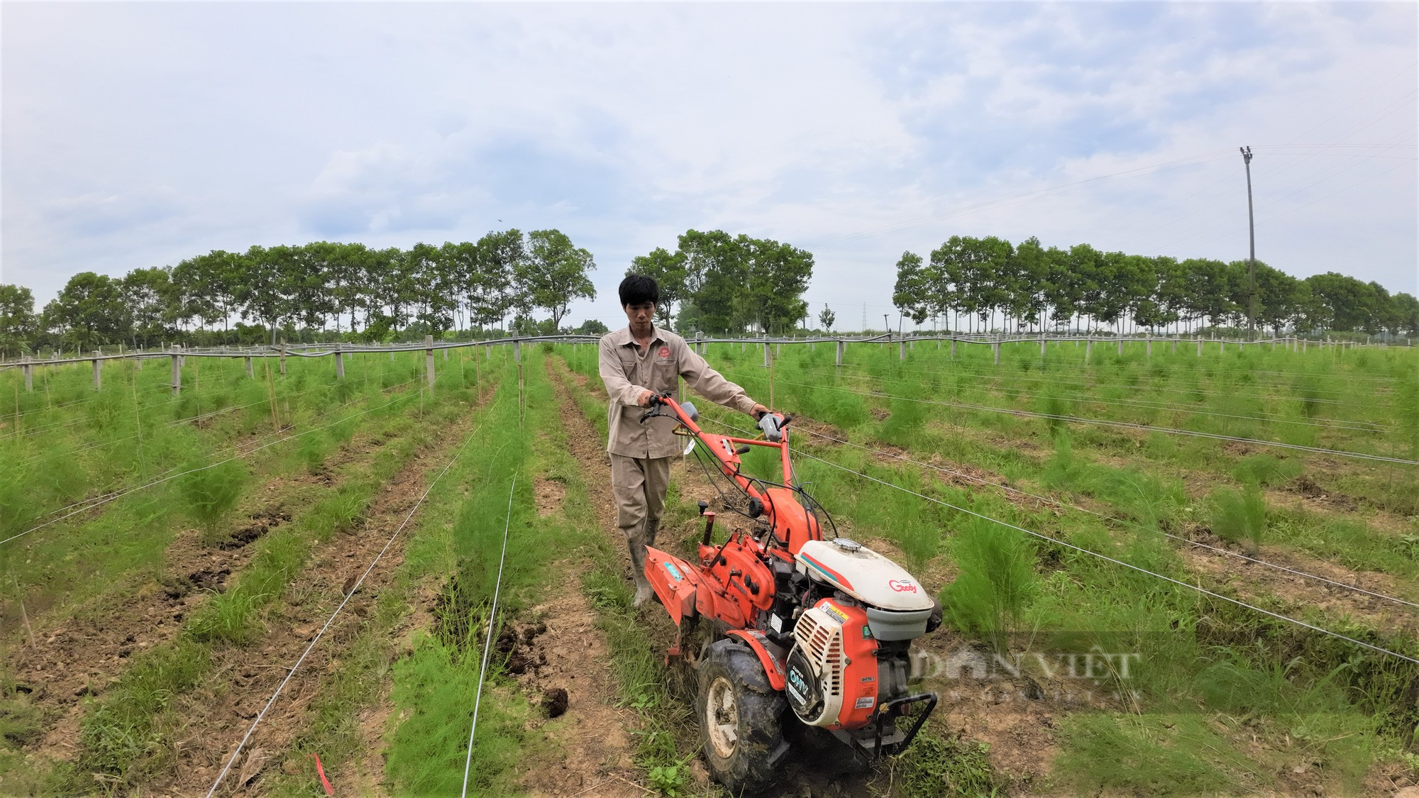 &quot;Bí quyết&quot; để chủ trang trại lợn ở Hải Dương nhiều lần lỗ tiền tỷ… trở thành Nông dân Việt Nam xuất sắc 2023 - Ảnh 10.