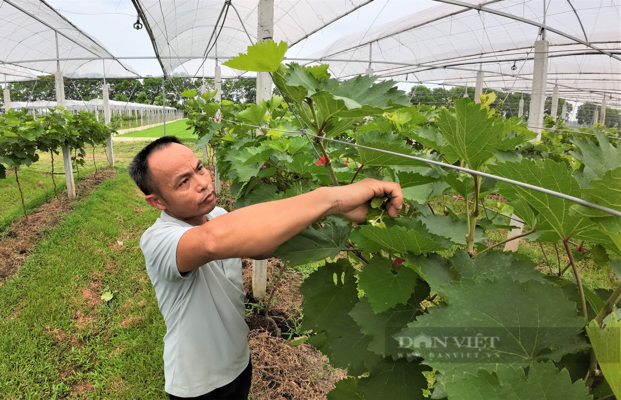 &quot;Bí quyết&quot; để chủ trang trại lợn ở Hải Dương nhiều lần lỗ tiền tỷ… trở thành Nông dân Việt Nam xuất sắc 2023 - Ảnh 9.