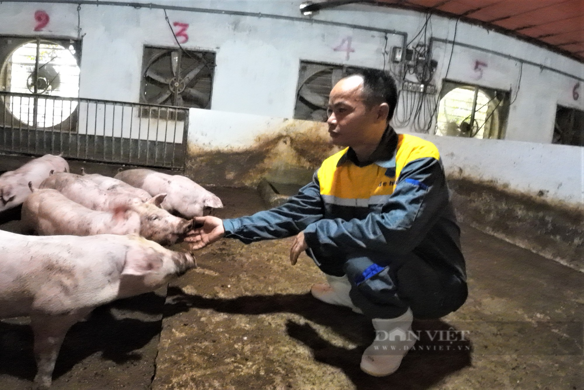 &quot;Bí quyết&quot; để chủ trang trại lợn ở Hải Dương nhiều lần lỗ tiền tỷ… trở thành Nông dân Việt Nam xuất sắc 2023 - Ảnh 6.