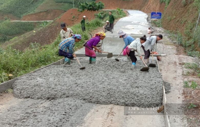 Cán bộ, hội viên nông dân Lào Cai tích cực thi đua chào mừng Đại hội Hội Nông dân các cấp - Ảnh 5.