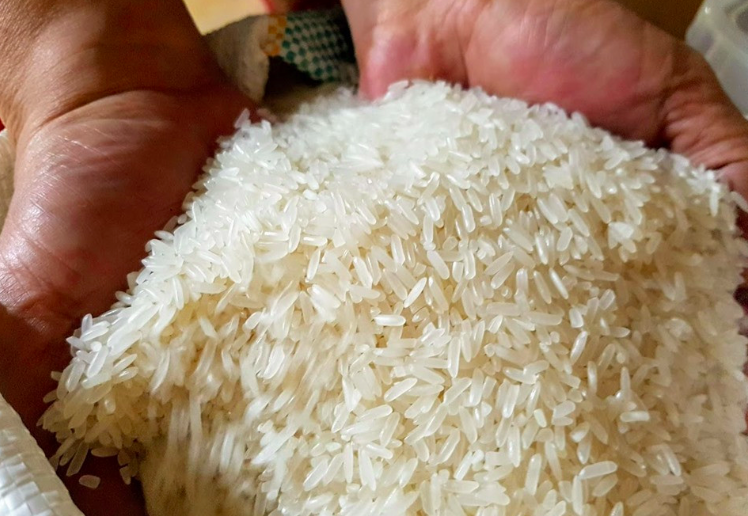 Giá gạo thơm Việt Nam được đàm phán ở mức 580 - 630 USD/tấn, có lúc lên đến 700 USD/tấn - Ảnh 1.