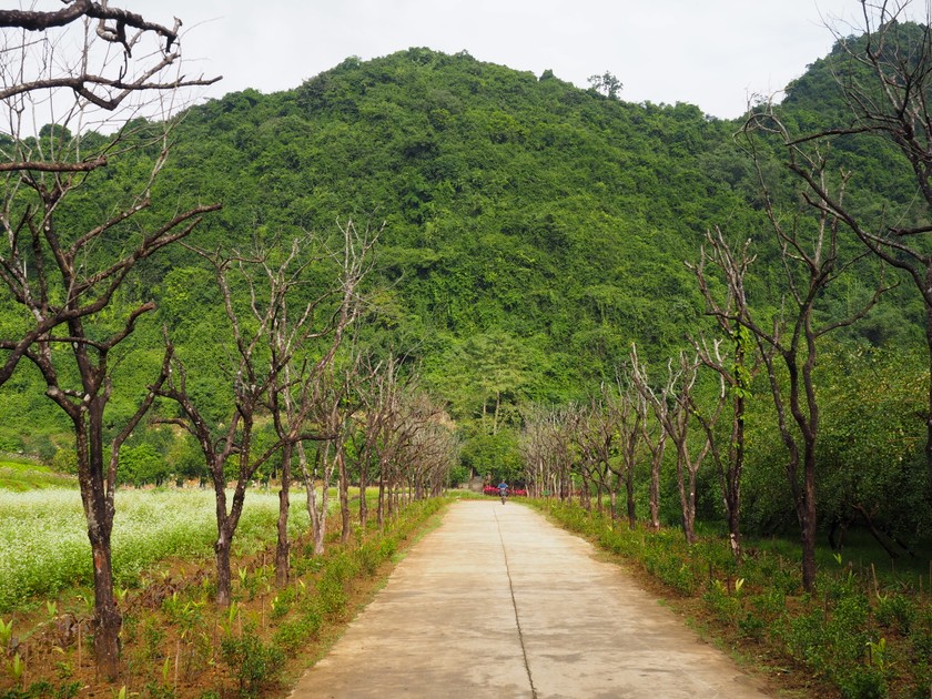 Cách TP Ninh Bình 12km, một thung lũng đá vôi có chim cò bay vô số, đẹp như phim, người ta đang đến - Ảnh 7.