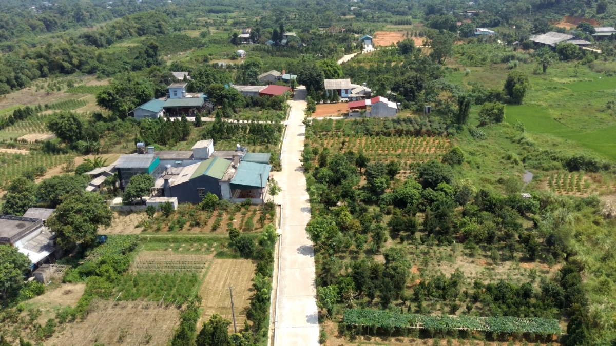 Trồng cây cảnh ở một làng của Hà Giang, nhà nào cũng giàu lên - Ảnh 1.