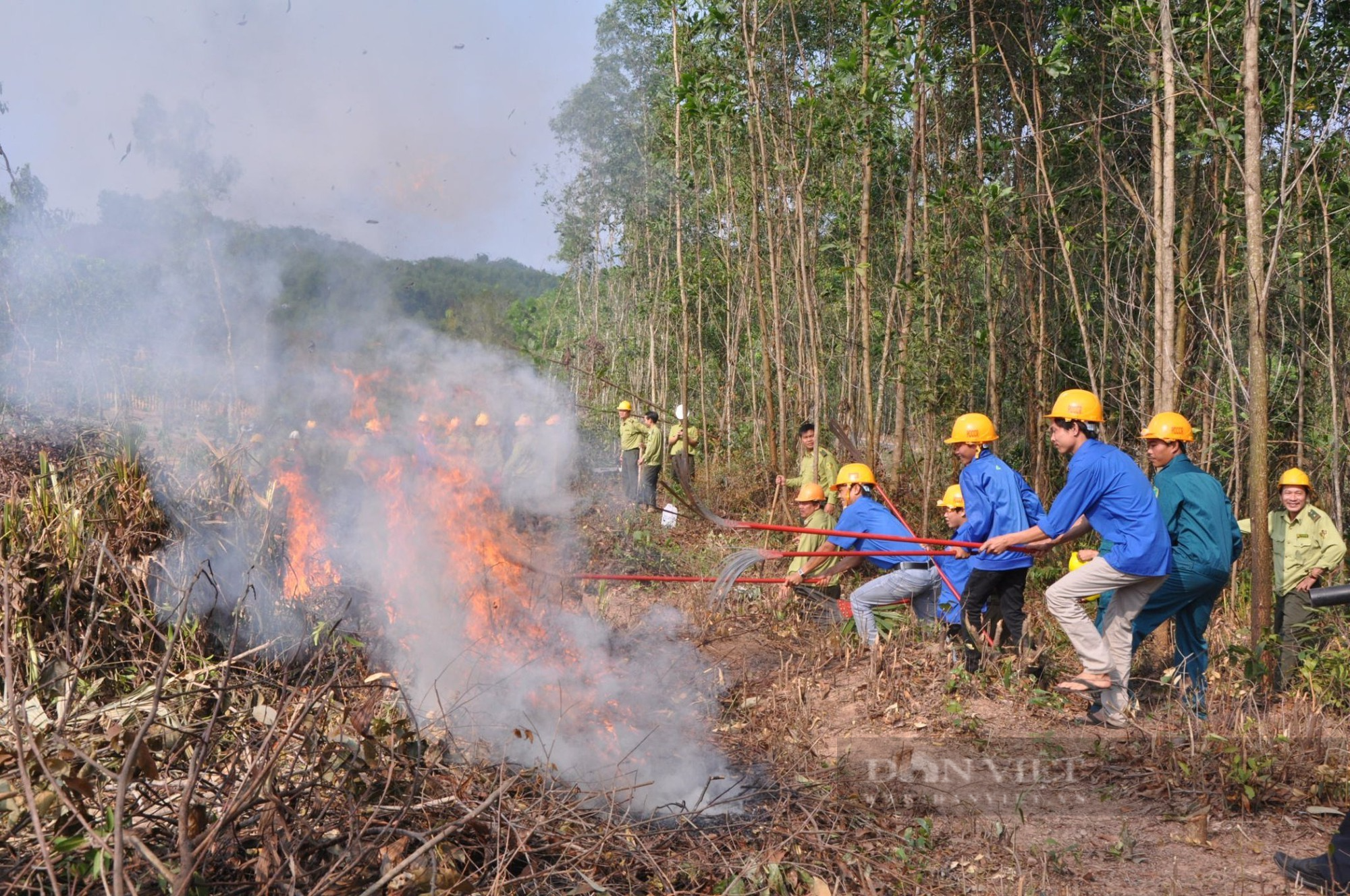 Hình ảnh hàng chục héc ta rừng ở Quảng Nam bị lửa thiêu rụi  - Ảnh 9.