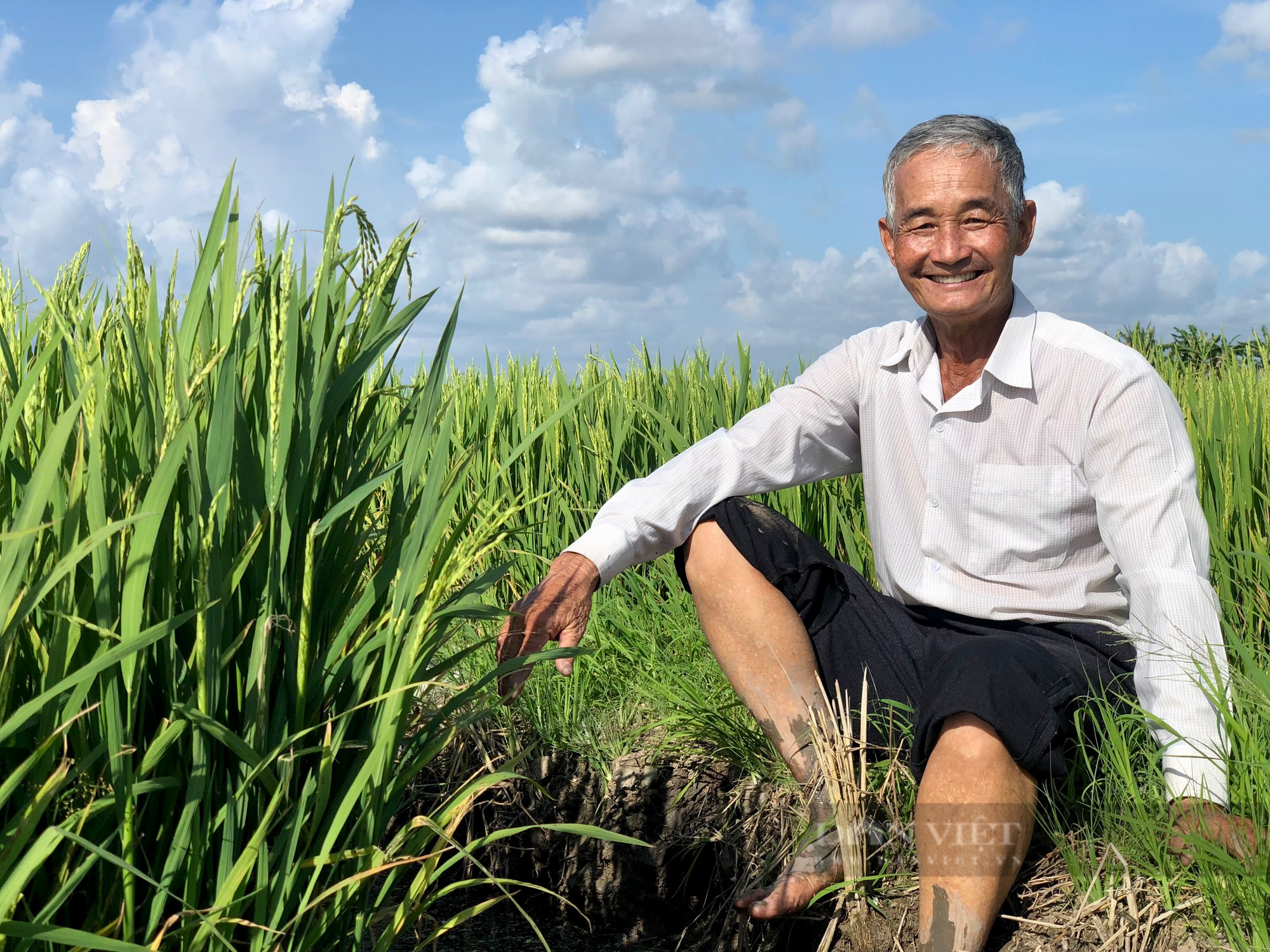 Vận động hơn 20 tỷ đồng xây cầu đường nông thôn, lão nông ở Đồng Tháp trở thành nông dân Việt Nam xuất sắc 2023 - Ảnh 2.
