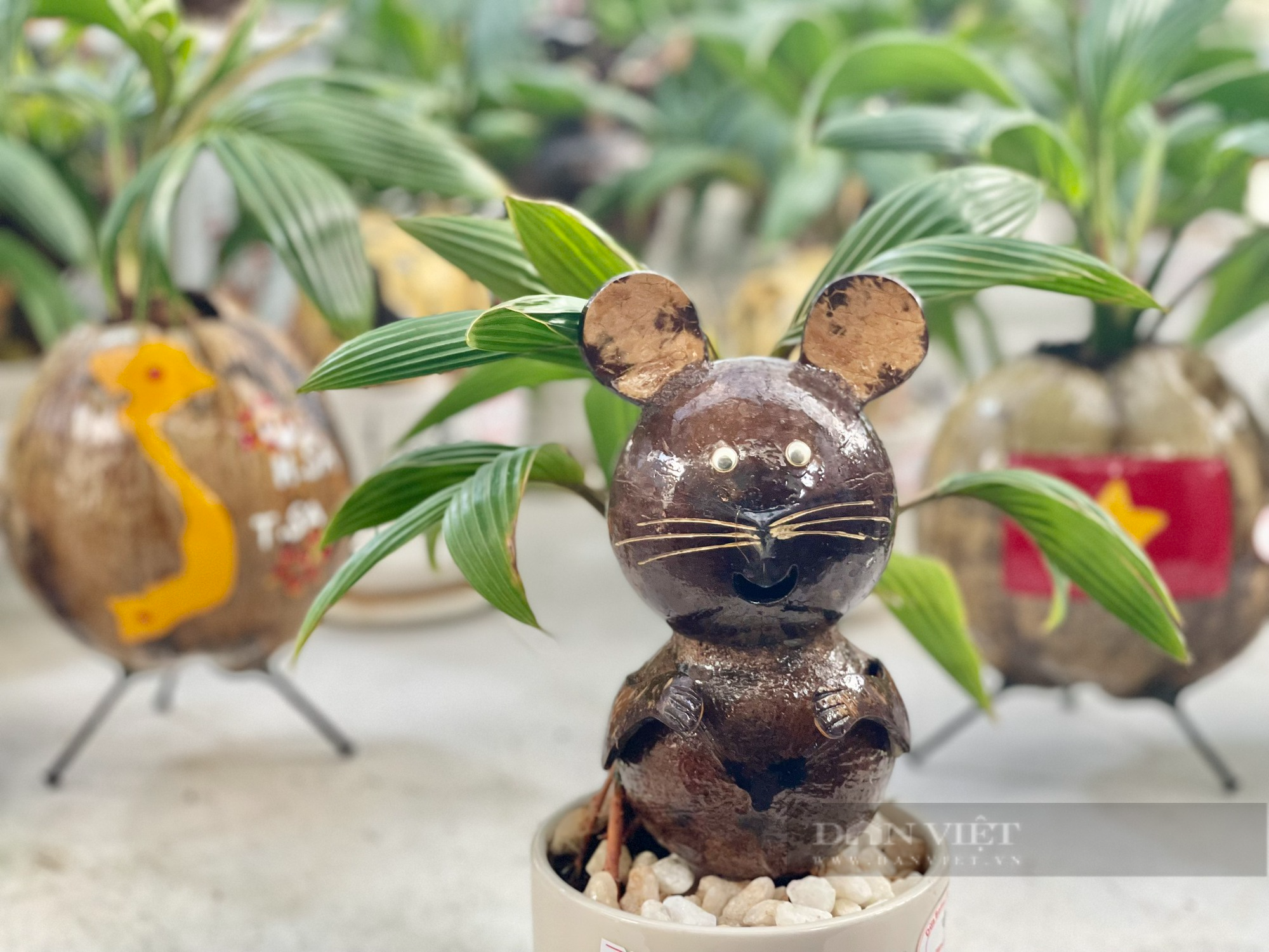Từ quả dừa khô bỏ đi, nông dân Sài Gòn làm giàu nhờ tạo bonsai độc lạ - Ảnh 7.