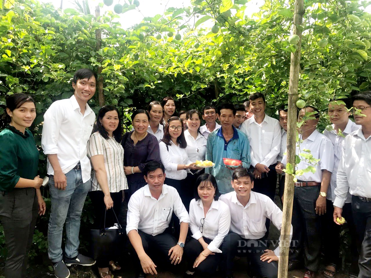Đem cây chanh dây ghép với cây nhãn lồng, lão nông ở Sóc Trăng trở thành Nông dân Việt Nam xuất sắc năm 2023 - Ảnh 7.
