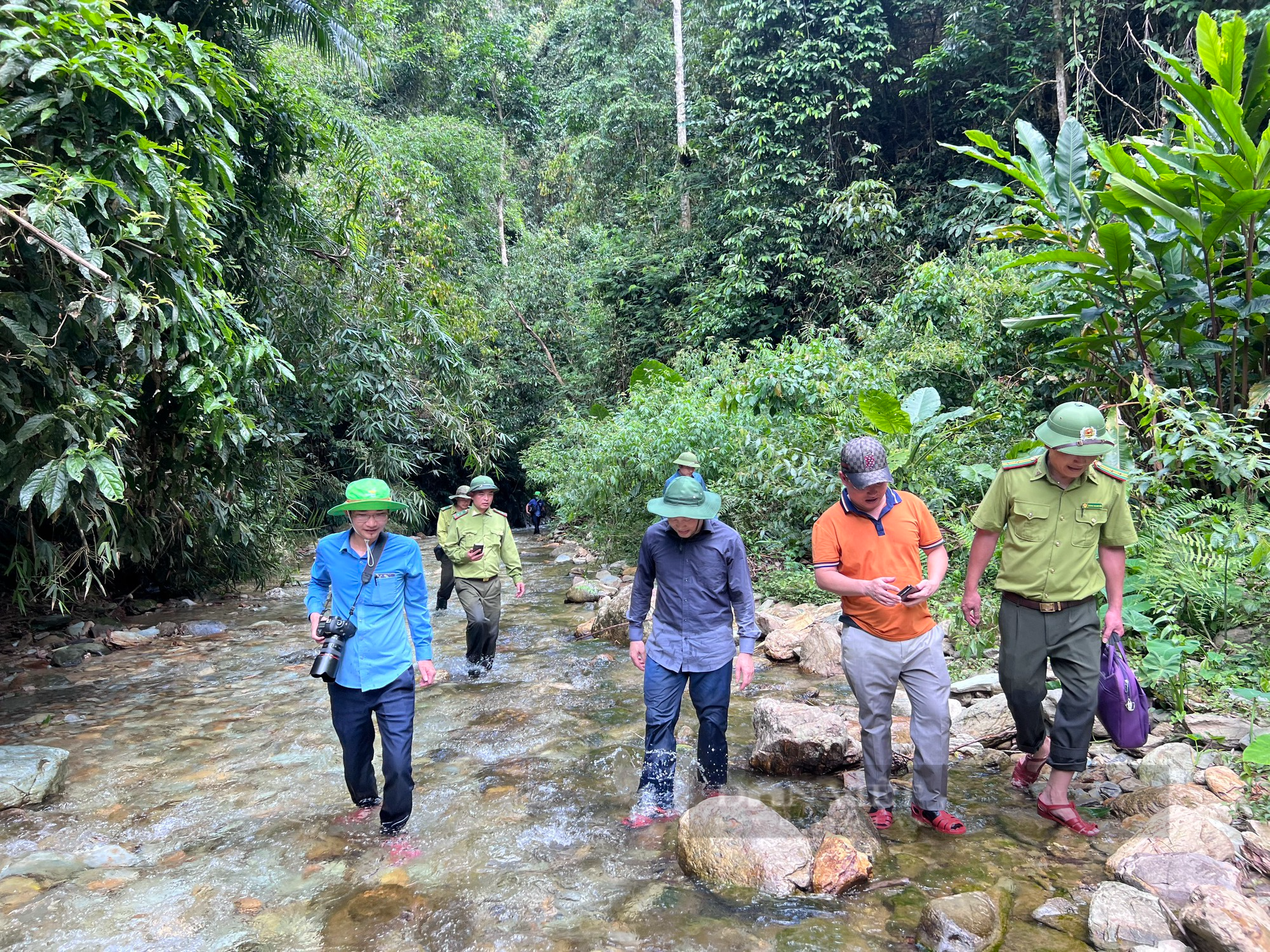 Hiện trường vụ đốn hạ rừng ở Như Xuân (Thanh Hoá) - Ảnh 1.