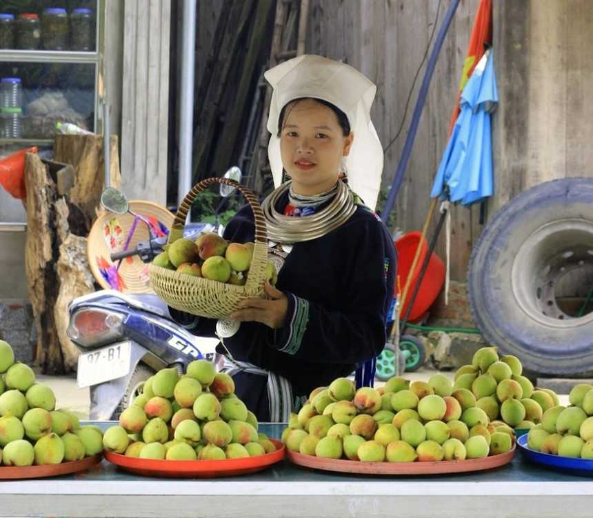 Vùng đất này của Bắc Kạn có quả đào tiên, ăn giòn, ngọt, chính quyền đang kêu gọi trồng thêm để mời khách đến  - Ảnh 1.