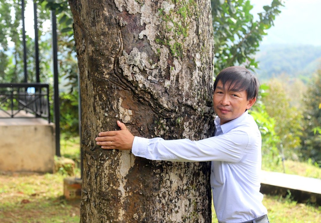 Cây sầu riêng người Pháp trồng ở Lâm Đồng nay đã là cây cổ thụ, vẫn &quot;đẻ sòn sòn&quot; thứ trái ngon - Ảnh 2.