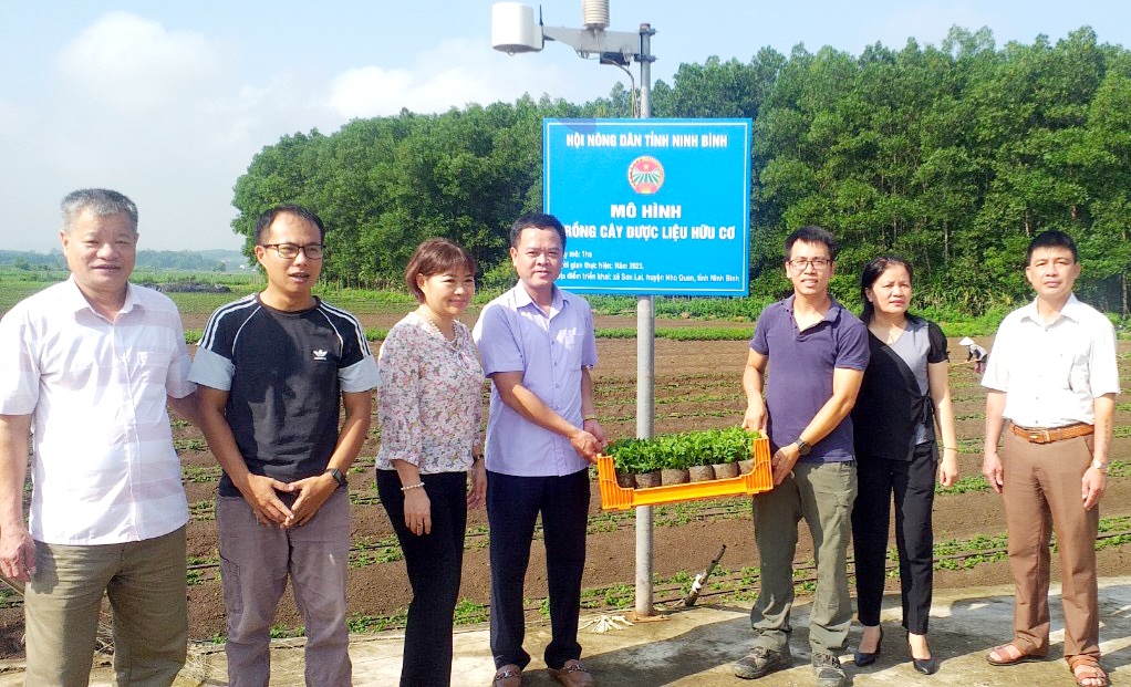 Hội Nông dân tỉnh Ninh Bình tổ gắn biển mô hình trồng cây dược liệu hữu cơ tại huyện Nho Quan - Ảnh 1.