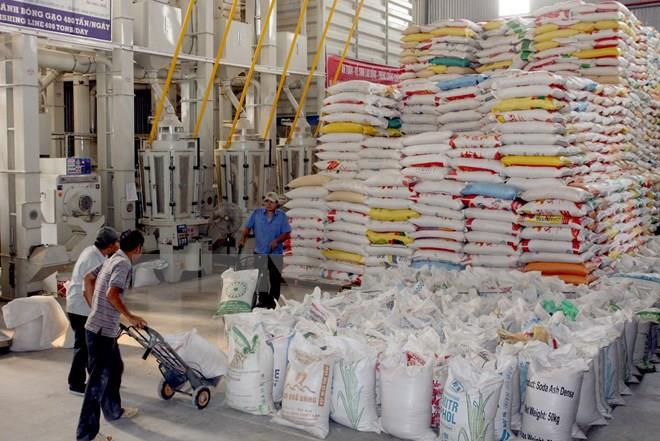 Giá gạo tăng liên tục, Tổng cục Dự trữ Nhà nước yêu cầu khẩn trương nhập gạo, đảm bảo đủ dự trữ quốc gia - Ảnh 2.