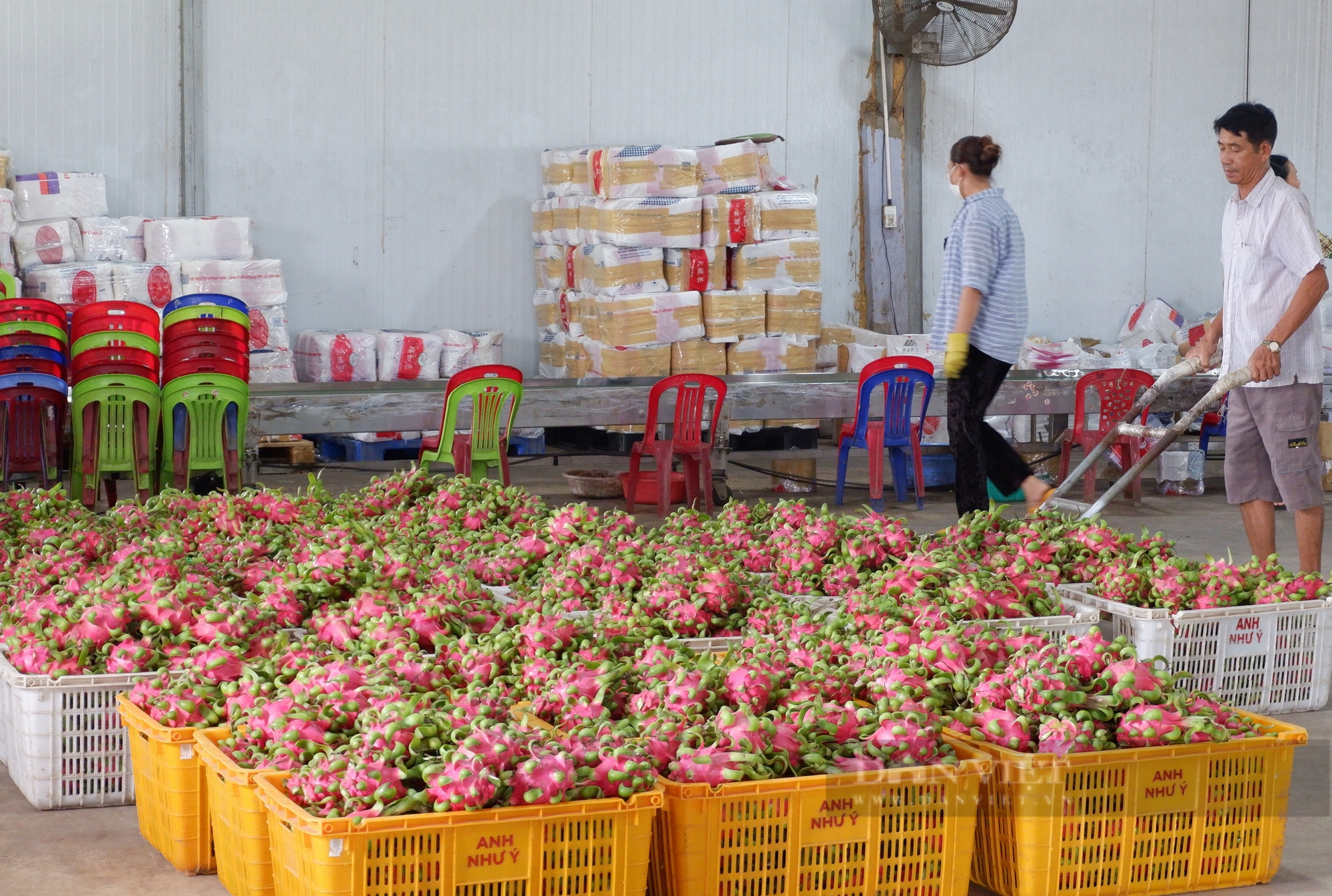 Bình Thuận: Phát triển ngành nông nghiệp hiện đại, bền vững, có giá trị gia tăng cao - Ảnh 7.