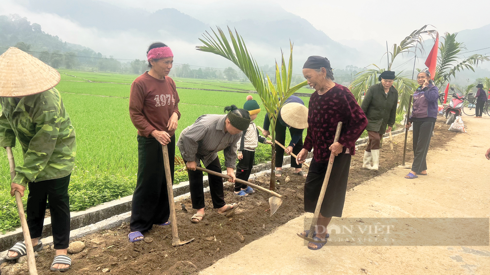 Làng quê Hà Giang thêm đẹp nhờ những “hàng cây, đường hoa nông dân” - Ảnh 2.