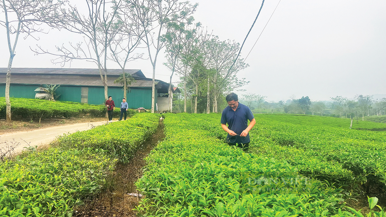 Hiến đất làm đường, “điểm sáng” trong xây dựng nông thôn mới tại xã Ngọc Linh - Ảnh 1.