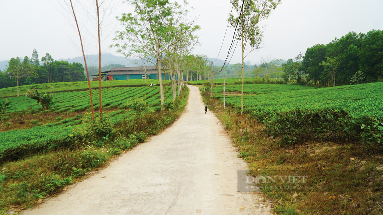 Hiến đất làm đường, “điểm sáng” trong xây dựng nông thôn mới tại xã Ngọc Linh - Ảnh 2.