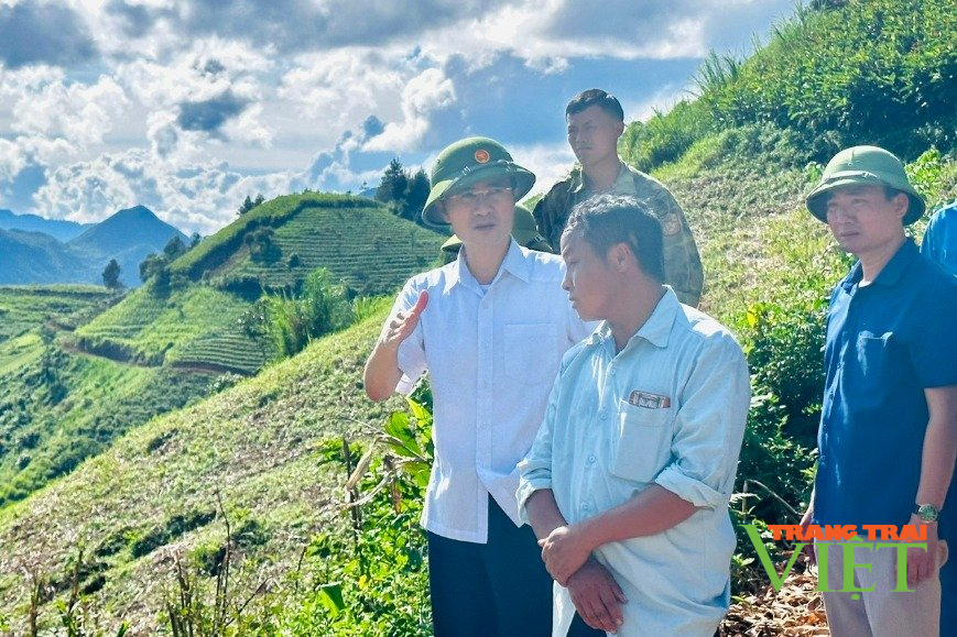 Phó Chủ tịch UBND tỉnh Lai Châu kiểm tra công tác di dân ra khỏi vùng thiên tai tại huyện Tam Đường - Ảnh 1.
