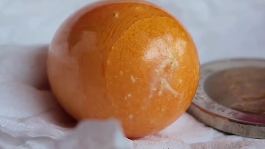 Mua ốc biển về ăn, tình cờ thấy &quot;báu vật&quot; màu cam to bằng quả trứng chim cút bên trong - Ảnh 2.