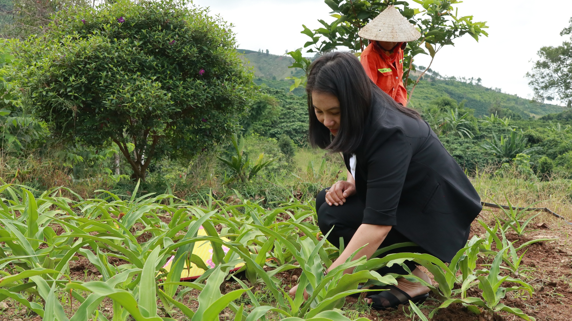 Nữ Nông dân Việt Nam xuất sắc 2023 ở Lâm Đồng làm gì mà mỗi năm thu hàng chục tỷ đồng? - Ảnh 5.