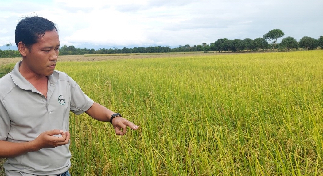 Bình Thuận: Phát triển ngành nông nghiệp hiện đại, bền vững, có giá trị gia tăng cao - Ảnh 5.
