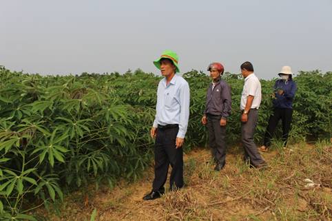 Quảng Ngãi: Cải thiện tiêu chí thu nhập để “nâng tầm” nông thôn mới ở huyện Tư Nghĩa - Ảnh 3.