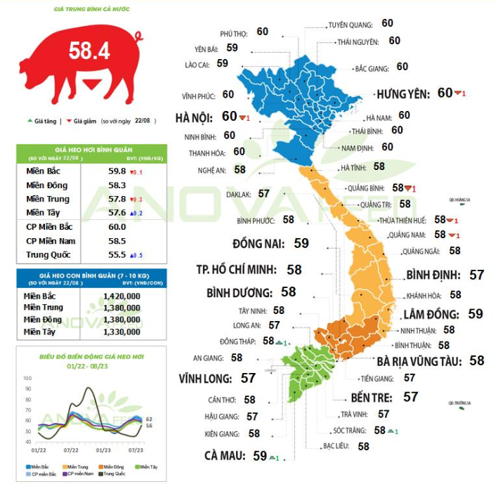 5 &quot;ông lớn&quot; chăn nuôi, 4 ông lợi nhuận giảm, doanh nghiệp vẫn hy vọng giá lợn sáng sủa cuối năm - Ảnh 2.