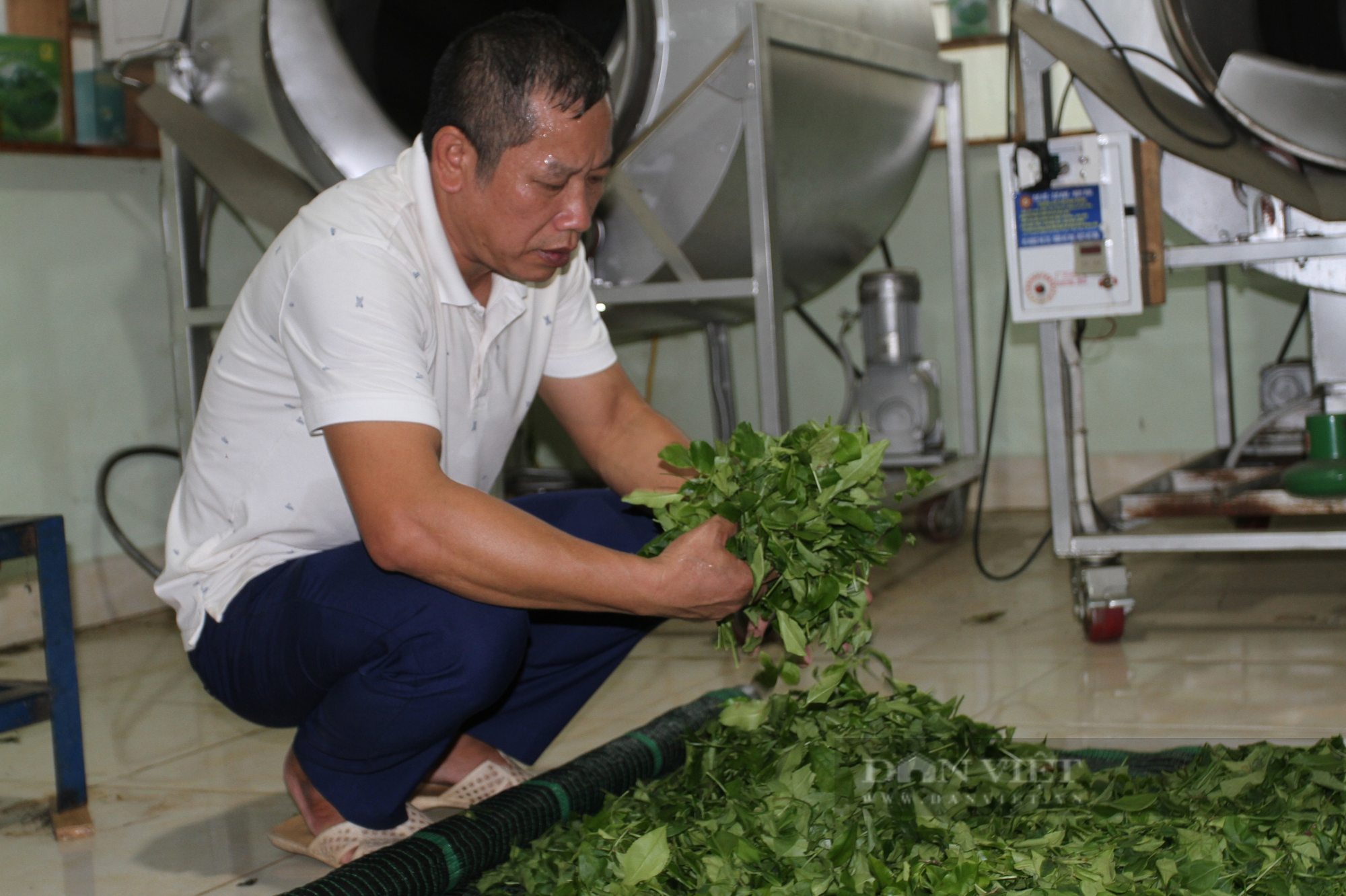 Đưa chè sạch xuất khẩu, ông nông dân Thái Nguyên được bình chọn là Nông dân Việt Nam xuất sắc  - Ảnh 6.
