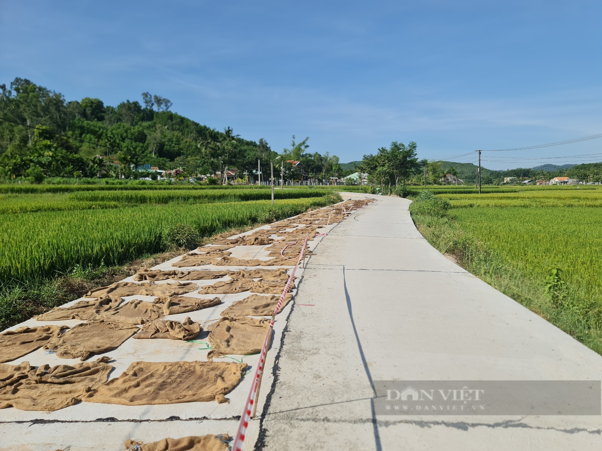 Vụ đường 4,5 tỷ đồng bị nứt ở Quảng Nam: “Chất lượng không đảm bảo, không nghiệm thu” - Ảnh 4.
