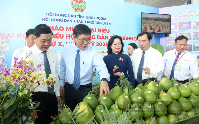 Cũng trong ngày khai mạc Đại hội, Hội Nông dân tỉnh Bình Dương tổ chức Triển lãm sản phẩm nông nghiệp, những sản phẩm tiêu biểu của hội viên nông dân Bình Dương nhằm chào mừng Đại hội Đại biểu Hội Nông dân tỉnh Bình Dương lần thứ X, nhiệm kỳ 2023 - 2028 tiến tới Đại hội Đại biểu toàn quốc Hội Nông dân Việt Nam lần thứ VIII, nhiệm kỳ 2023 – 2028. Ảnh: Trần Khánh