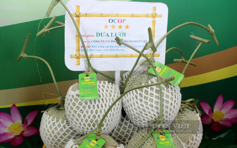 Sản phẩm dưa lưới đạt OCOP 4 sao của Công ty CP nông nghiệp U&I, huyện Phú Giáo. Ảnh: Nguyên Vỹ