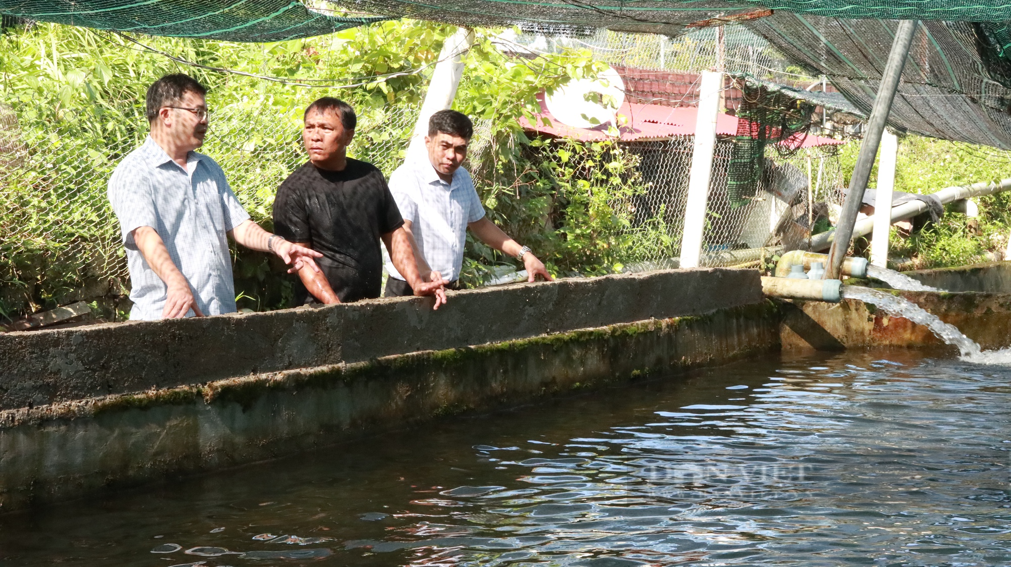 Cận cảnh trang trại nuôi cá tầm mang lại doanh thu 5 tỷ đồng tại Lâm Đồng - Ảnh 3.