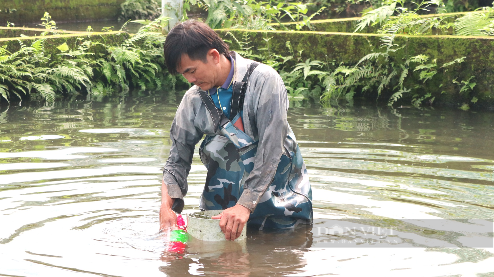 Cận cảnh trang trại nuôi cá tầm mang lại doanh thu 5 tỷ đồng tại Lâm Đồng - Ảnh 7.