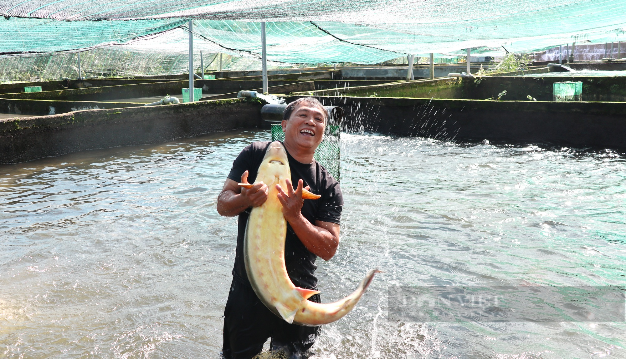 Cận cảnh trang trại nuôi cá tầm mang lại doanh thu 5 tỷ đồng tại Lâm Đồng - Ảnh 8.