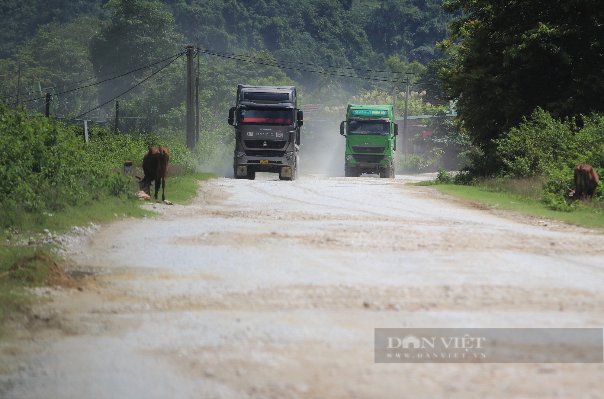 Tỉnh lộ 532 xuống cấp trầm trọng, dân thủ phủ khoáng sản ở Nghệ An khốn khổ đủ đường - Ảnh 1.