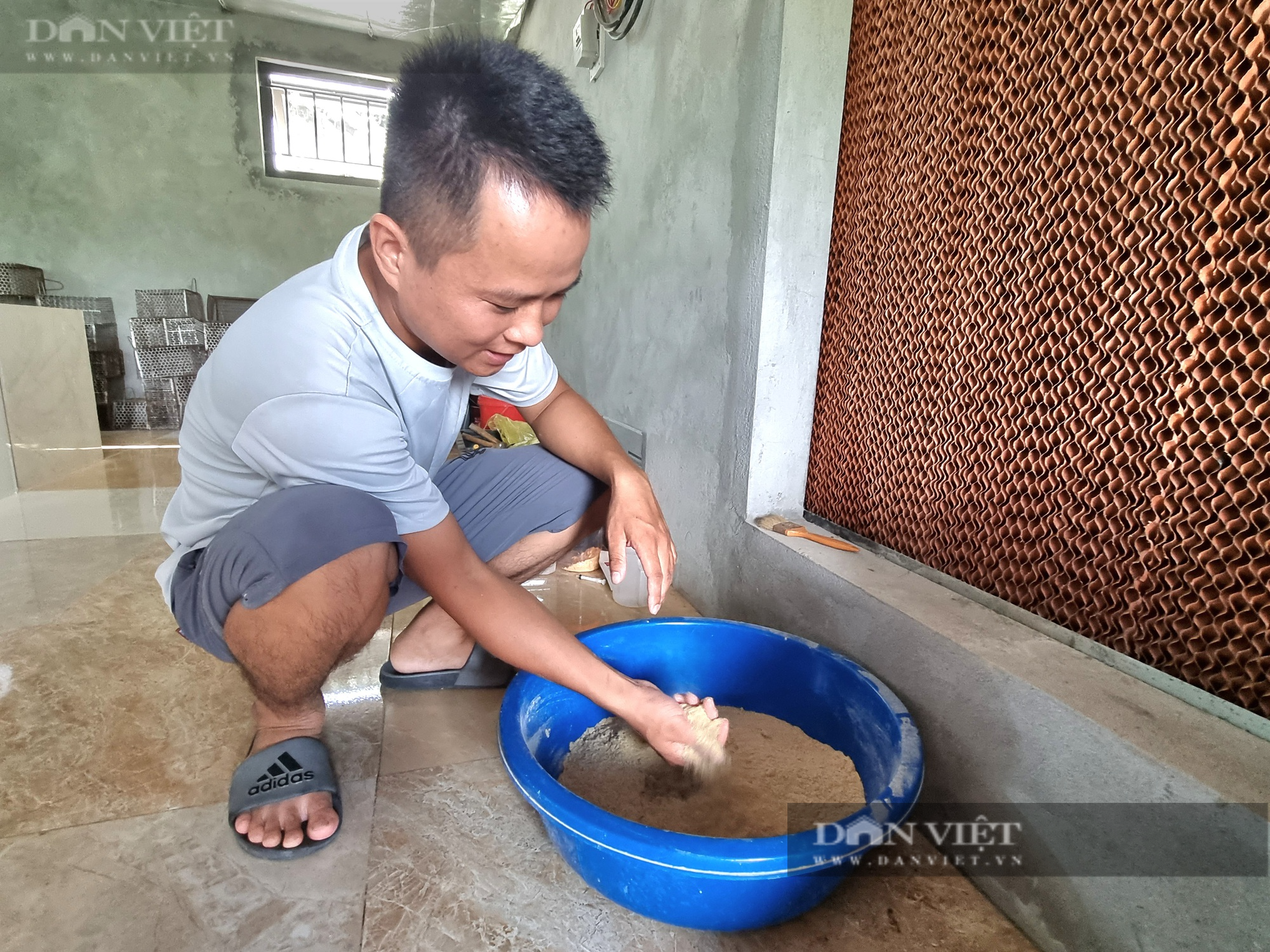 Bỏ nghề kỹ sư xây dựng, 9X Ninh Bình về quê nuôi con dúi mốc lãi 15 triệu đồng/tháng - Ảnh 10.