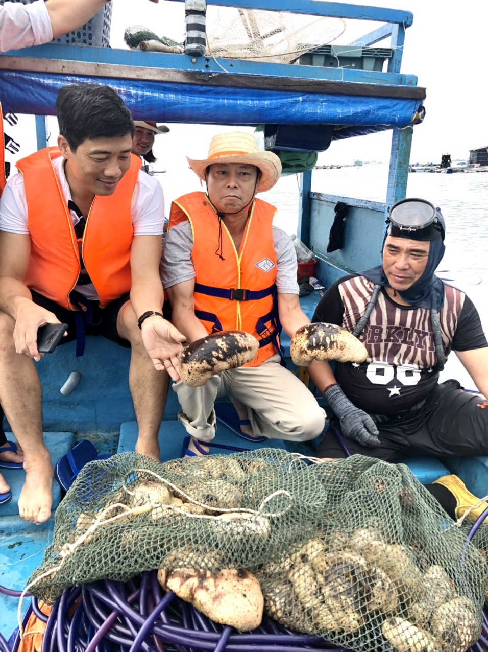 Động vật không xương sống này ví như nhân sâm biển cả, ở Bình Thuận đang có những con to, bự - Ảnh 1.