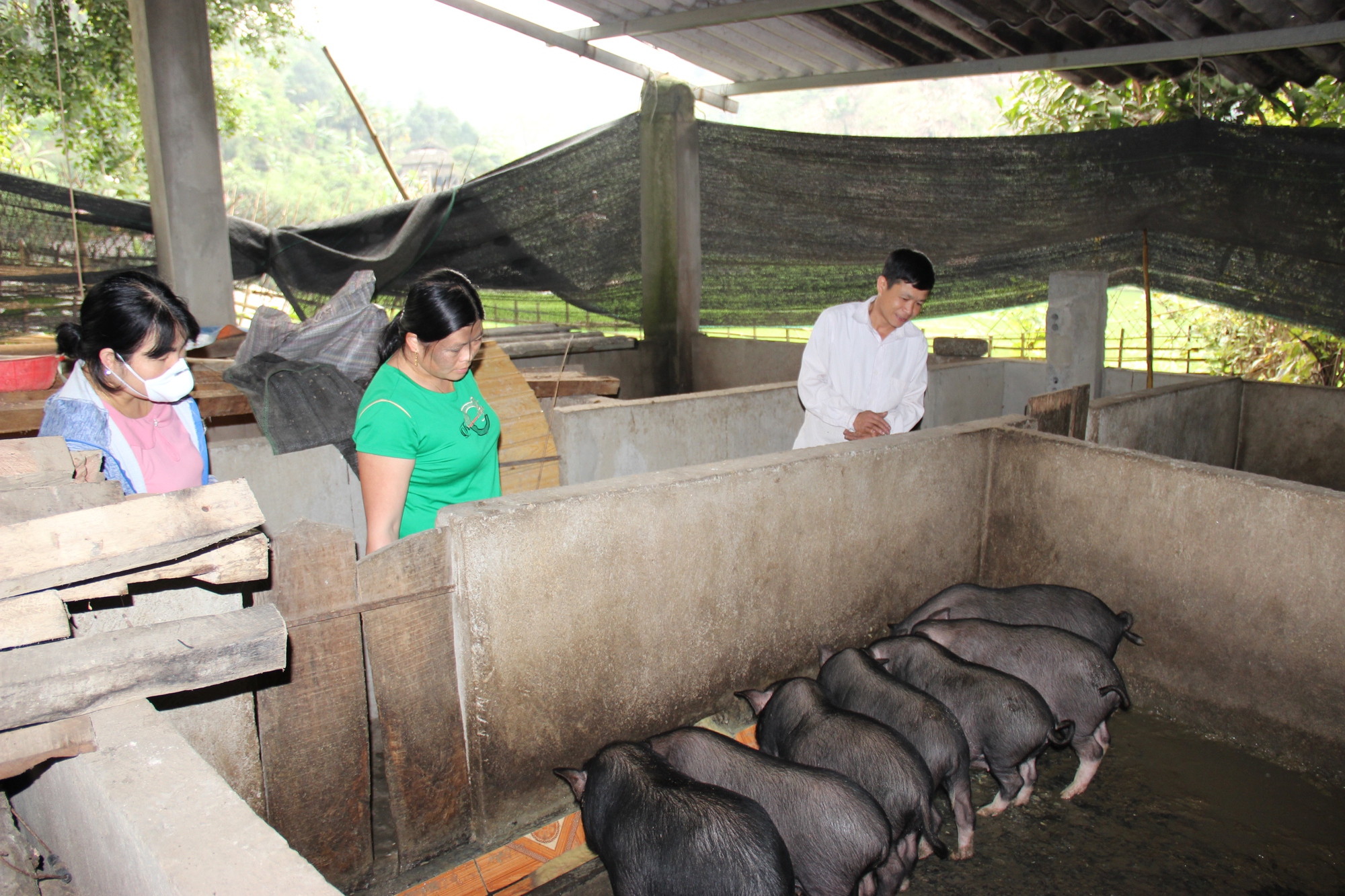 "Đòn bẩy" phát triển kinh tế - xã hội vùng đồng bào dân tộc thiểu số và miền núi - Ảnh 1.