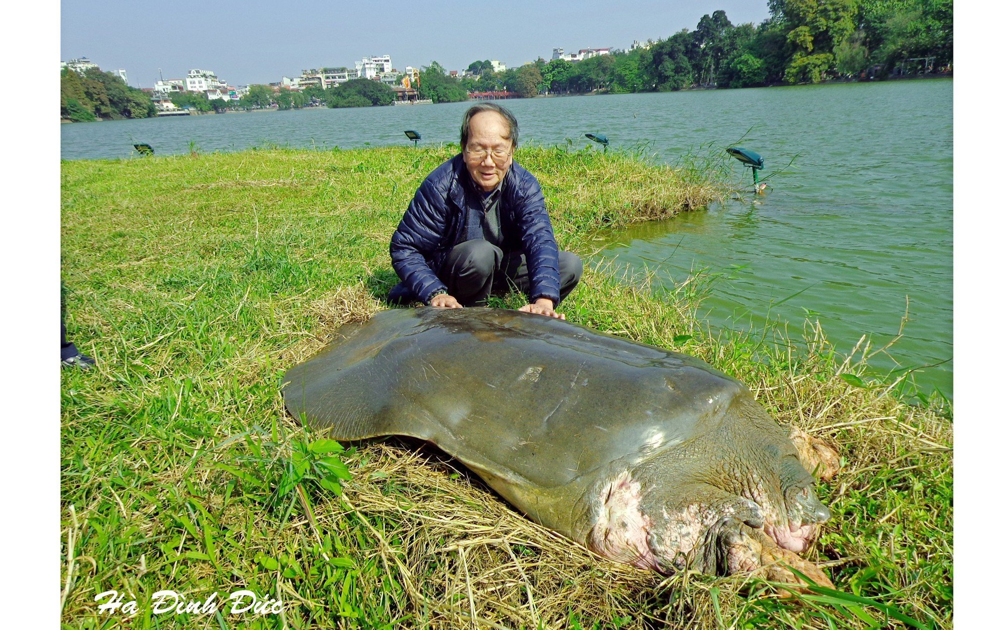 Ký ức Hà Nội: Kỷ niệm gần 30 năm gắn bó với cụ rùa Hồ Gươm