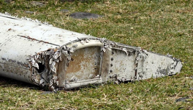 Hà biển là 'chìa khóa' giúp giải đáp bí ẩn về số phận chuyến bay MH370? - Ảnh 1.