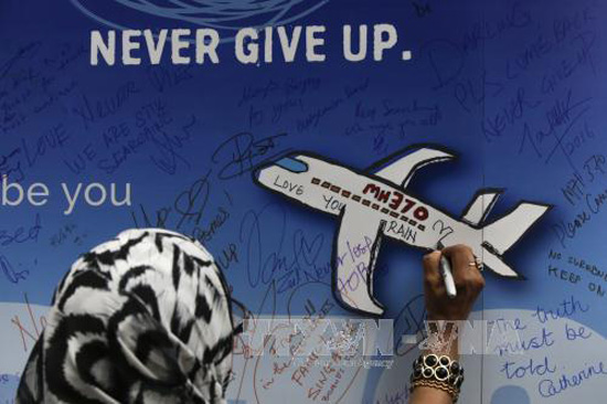 Hà biển là 'chìa khóa' giúp giải đáp bí ẩn về số phận chuyến bay MH370? - Ảnh 2.